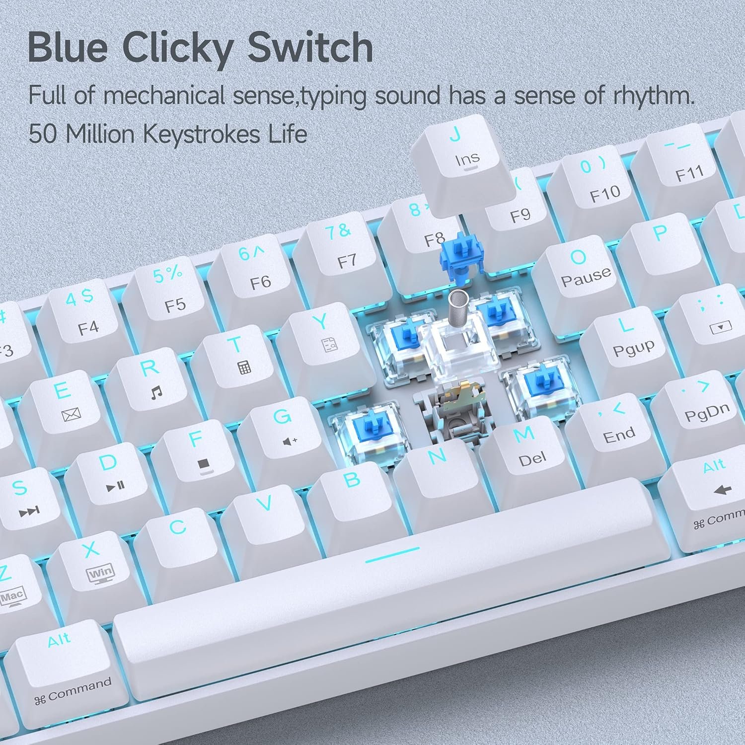 DIERYA DK61SE 60% Mechanical Gaming Keyboard, 61 Keys Anti-Ghosting, LED Backlight, Detachable USB-C, Ultra-Compact Mini Wired Keyboard with Blue Clicky Switch for Windows Laptop PC Gamer Typist - Image 4